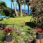 Maderedocevida Bed & Breakfast