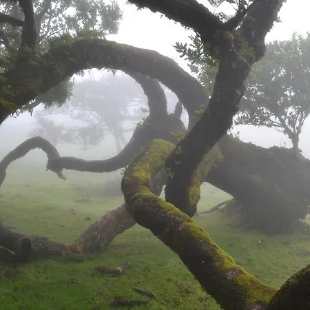 Maderedocevida Bed & Breakfast Boaventura