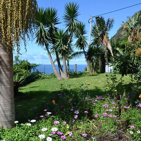 Maderedocevida Boaventura