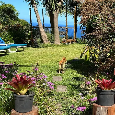 Maderedocevida Bed & Breakfast