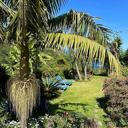 Bed & Breakfast Maderedocevida Boaventura