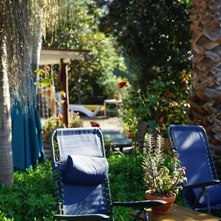 Maderedocevida Boaventura