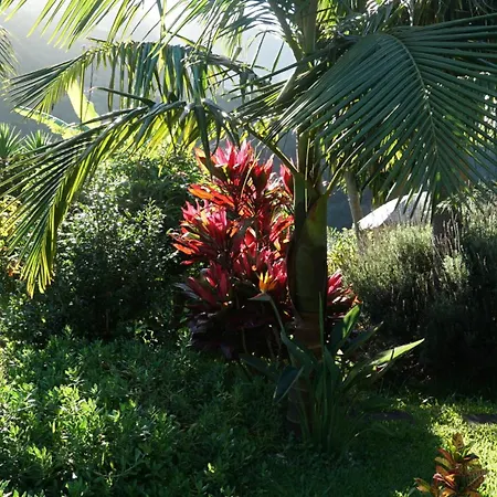 Maderedocevida 3* Boaventura