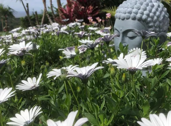 Maderedocevida 波文图拉