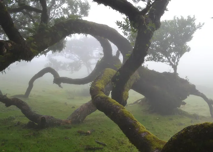 Maderedocevida Bed & Breakfast Boaventura