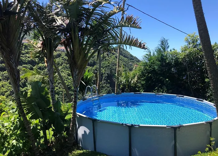 Maderedocevida Boaventura