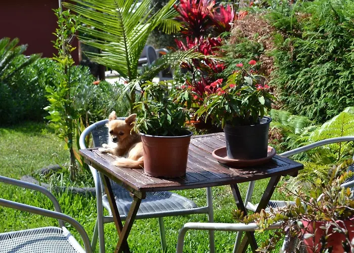 住宿加早餐酒店 Maderedocevida 3*