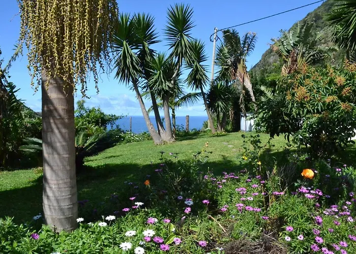 Maderedocevida 波文图拉