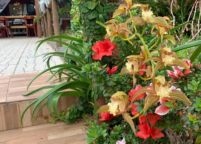 Maderedocevida 波文图拉