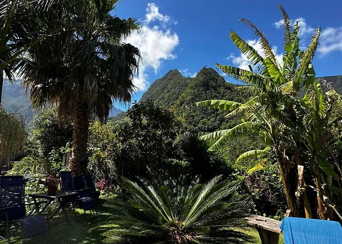 Maderedocevida 波文图拉