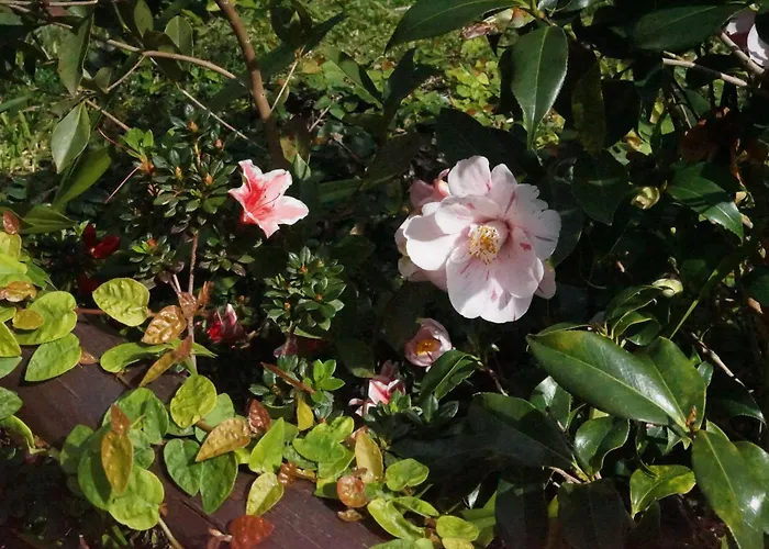 Maderedocevida 住宿加早餐酒店