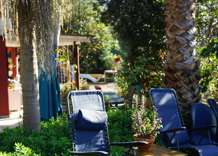 Maderedocevida 波文图拉