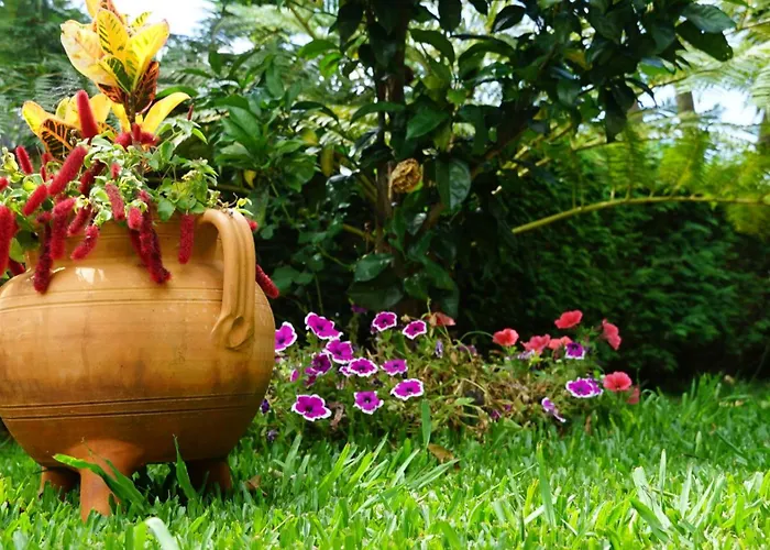 Maderedocevida Boaventura