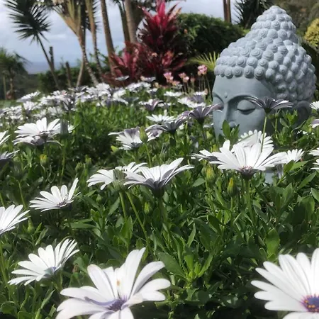 Maderedocevida Боавентура