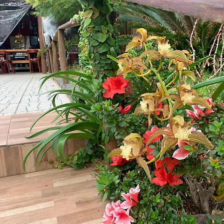 Maderedocevida Boaventura