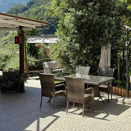 Maderedocevida Boaventura