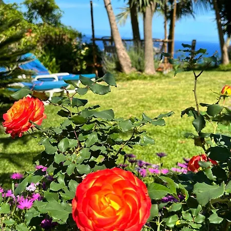 Maderedocevida 3* Boaventura