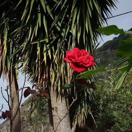 Maderedocevida Bed & Breakfast Boaventura