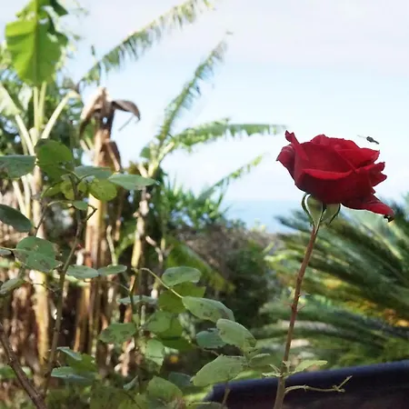 Maderedocevida Отель типа 