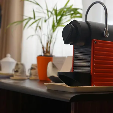 Maderedocevida 보아벤투라