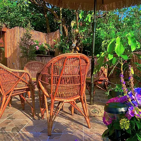 Bed & Breakfast Maderedocevida Boaventura
