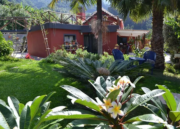 Bed & Breakfast Maderedocevida Boaventura