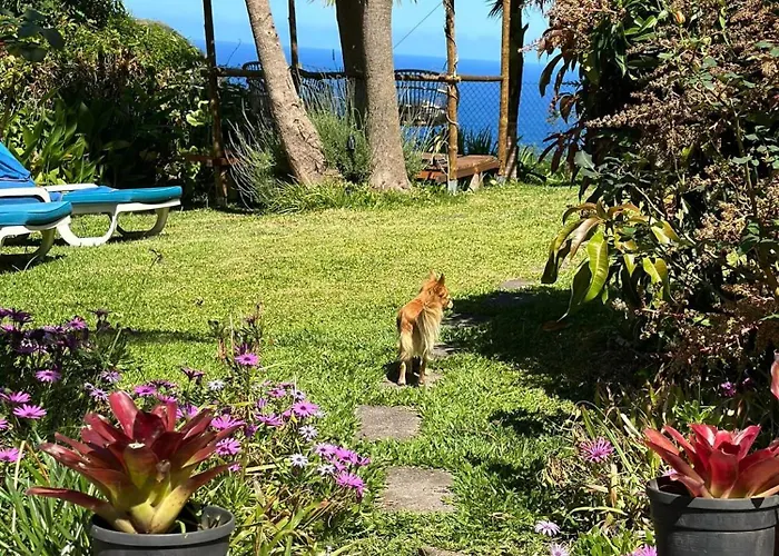 Maderedocevida Bed and Breakfast