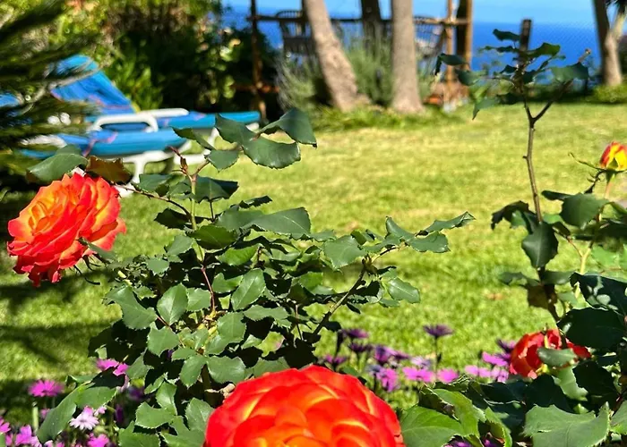 Maderedocevida 3* Boaventura