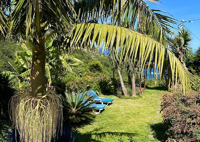 Bed & Breakfast Maderedocevida Boaventura